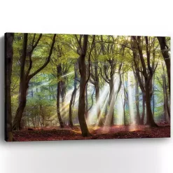 Discount Kirklands Home Majestic Morning Giclee Canvas Art Print Green