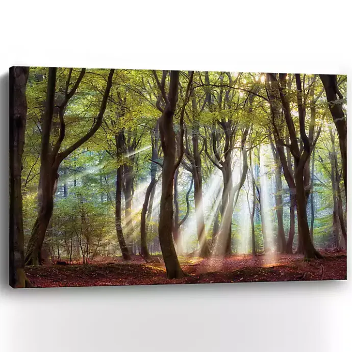 Discount Kirklands Home Majestic Morning Giclee Canvas Art Print Green