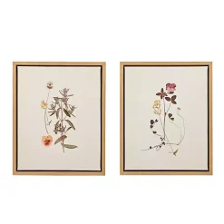 Online Kirklands Home Martha Stewart French Herbarium Framed Art Set Ivory
