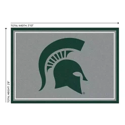 Discount Kirklands Home Michigan State University Area Rug, 3x4