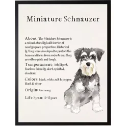 New Kirklands Home Miniature Schnauzer Facts Framed Wall Plaque