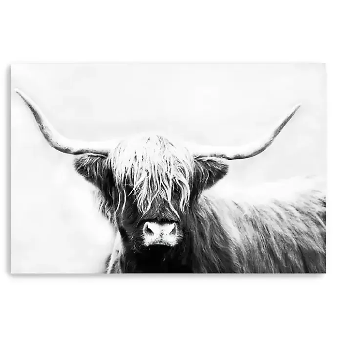 Best Kirklands Home Monochrome Longhorn Canvas Art Print, 60x40 in.