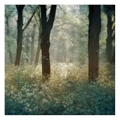 Sale Kirklands Home Morning in the Forest Giclee Canvas Art Print