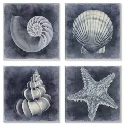 New Kirklands Home Nautical Seashells 4-pc. Canvas Art Print Set