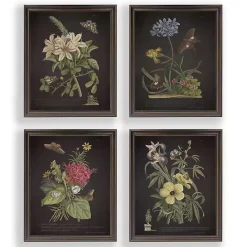 Discount Kirklands Home Night Butterfly Blooms Framed Art Prints, Set of 4
