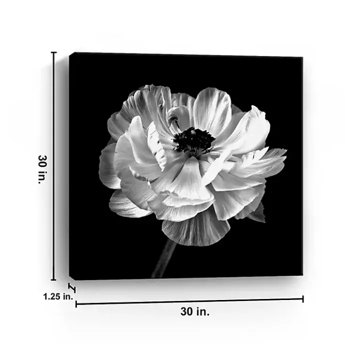 New Kirklands Home Noir Ranunculus Floral Giclee Canvas Art Print