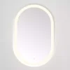 Kirklands Home Oval Crosby LED Wall Mirror