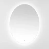 New Kirklands Home Oval Nolan LED Wall Mirror
