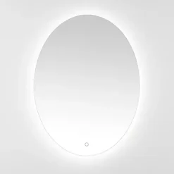 New Kirklands Home Oval Nolan LED Wall Mirror