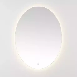 New Kirklands Home Oval Nolan LED Wall Mirror