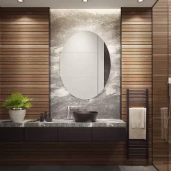 New Kirklands Home Oval Nolan LED Wall Mirror