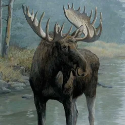 Clearance Kirklands Home Quiet Water Moose Framed Canvas Art Print