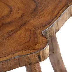 Clearance Kirklands Home Rustic Natural Woodland Accent Table Brown