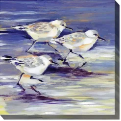 Hot Kirklands Home Sandpipers Outdoor Canvas Art Print