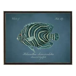 Hot Kirklands Home Semicircle Angelfish Framed Wall Art Blue