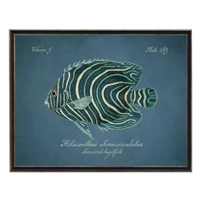Hot Kirklands Home Semicircle Angelfish Framed Wall Art Blue