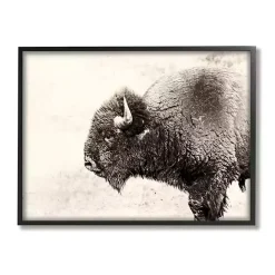 Best Kirklands Home Shaggy Buffalo Black Framed Canvas Art Print Brown