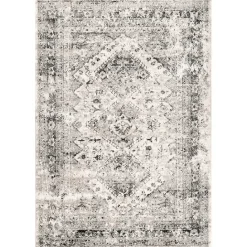 New Kirklands Home Shauna Vintage Speckled Area Rug, 5x8