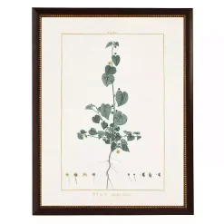 Kirklands Home Sida Greenery Black Beaded Framed Art Print