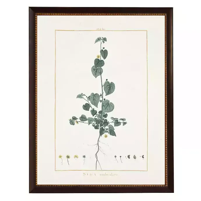 Kirklands Home Sida Greenery Black Beaded Framed Art Print