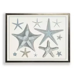 Outlet Kirklands Home Starfish Collage Bronze Framed Art Print