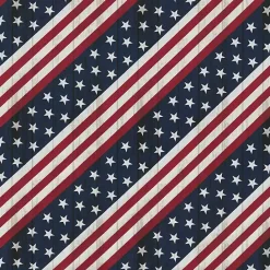 Online Kirklands Home Stars & Stripes Outdoor Lumbar Pillows, Set of 2