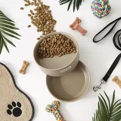 Best Kirklands Home Stone Dinner & Drinks 2-pc. Pet Bowl Set, 8 in. Tan