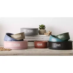 Best Kirklands Home Stone Dinner & Drinks 2-pc. Pet Bowl Set, 8 in. Tan
