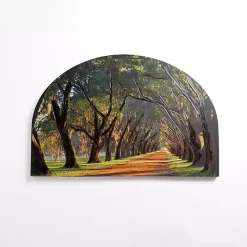 Online Kirklands Home Sunset Greenway Arched Canvas Art Print