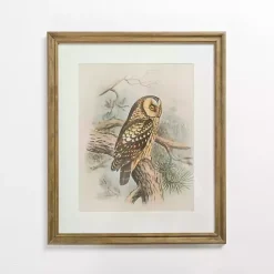 Outlet Kirklands Home Tengmalm Owl Framed Art Print