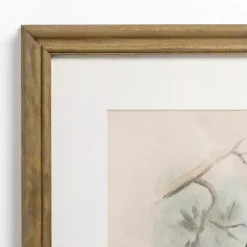 Outlet Kirklands Home Tengmalm Owl Framed Art Print