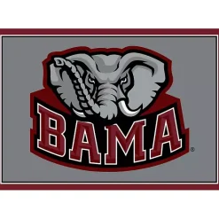 Clearance Kirklands Home University of Alabama Area Rug, 4x6 Gray