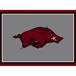 New Kirklands Home University of Arkansas Area Rug, 4x6