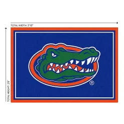Online Kirklands Home University of Florida Area Rug, 3x4