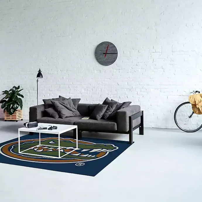 Outlet Kirklands Home University of Florida Area Rug, 4x6