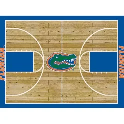Kirklands Home University of Florida Courtside Area Rug, 4x6