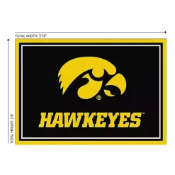 Hot Kirklands Home University of Iowa Area Rug, 3x4