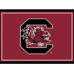 Hot Kirklands Home University of South Carolina Area Rug, 3x4