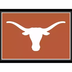 New Kirklands Home University of Texas Area Rug, 4x6