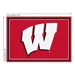 Hot Kirklands Home University of Wisconsin Area Rug, 3x4