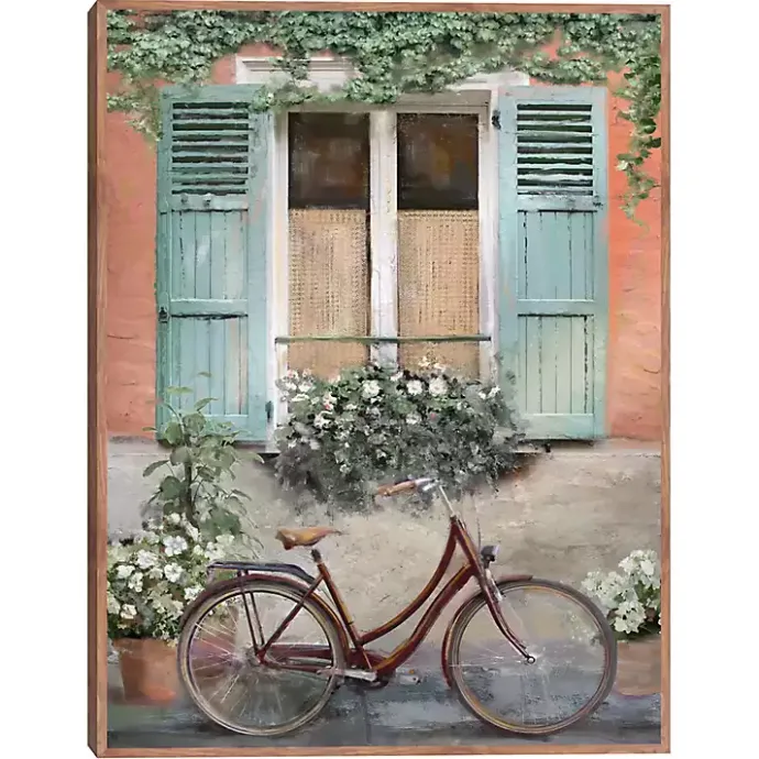 Online Kirklands Home Velo de Montpellier Framed Canvas Art Print