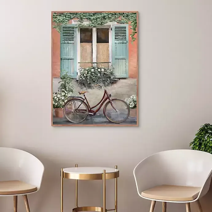 Online Kirklands Home Velo de Montpellier Framed Canvas Art Print