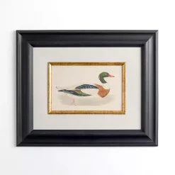 Discount Kirklands Home Vintage Duck Framed Art Print Multi