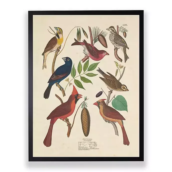 Kirklands Home Vintage Finch Birds Framed Art Print