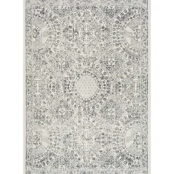 Outlet Kirklands Home Vintage Floral Minta Area Rug, 8x10