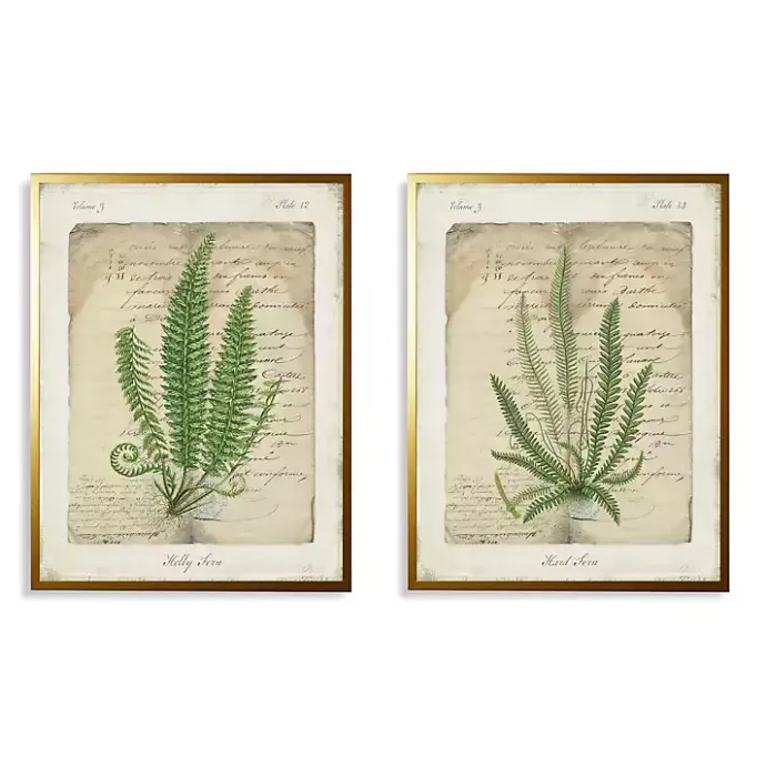Online Kirklands Home Vintage Green Ferns Framed Art Prints, Set of 2