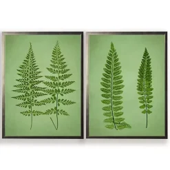 Hot Kirklands Home Vintage Ferns I Framed Art Prints, Set of 2 Green
