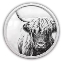 Outlet Kirklands Home Vintage Highland White Framed Art Print