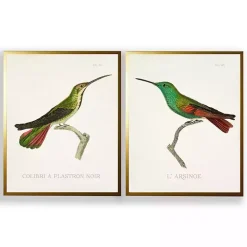 Discount Kirklands Home Vintage Hummingbird I 2-pc. Framed Art Print Set