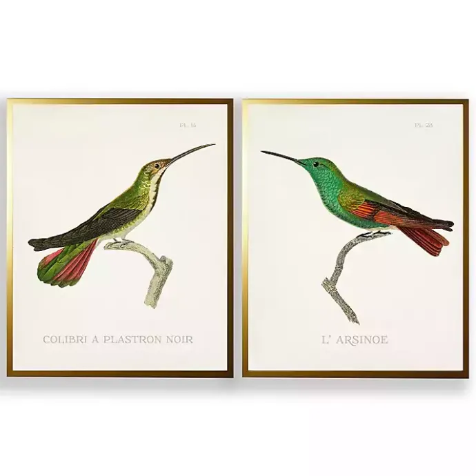 Discount Kirklands Home Vintage Hummingbird I 2-pc. Framed Art Print Set